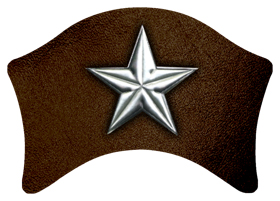 DABAN-430-SL-BR Star Silver-Brown